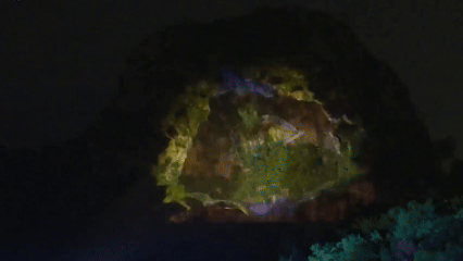 云浮好“夜”！“光”速出圈→