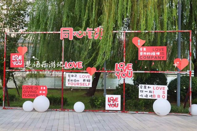 宁波镇海又发现一处粉黛园，临湖而居景色更秀丽，周边美景更多