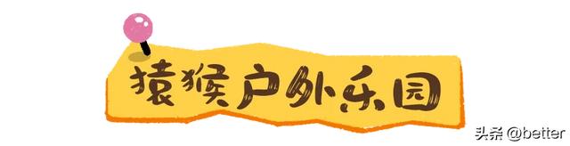 不出武汉，玩转真实版「疯狂动物城」