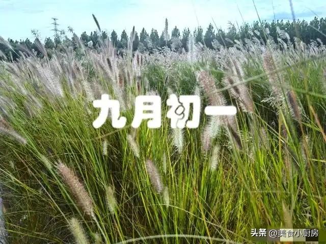 不是迷信！明日九月初一，记得：1要吃，2不去，3不做，平安入冬