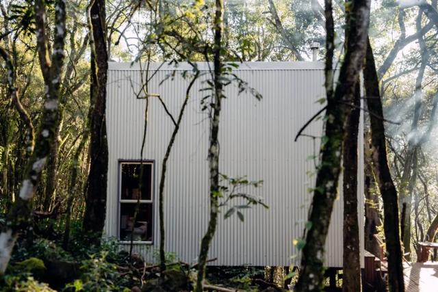 35㎡的森林拥抱,沉浸式短住秘境小屋