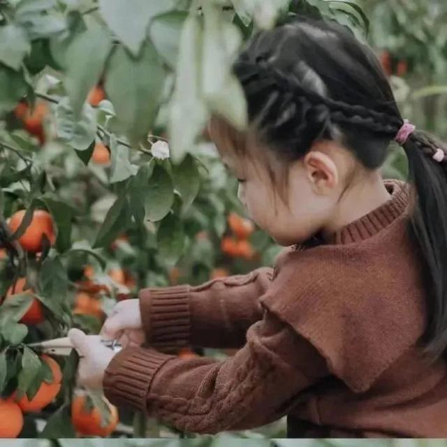 官方推荐！给大家分享肇庆遛娃好去处→