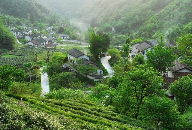 秋染东黄山：彩林、古道……这趟色彩约会快冲呀！| 皖美秋日