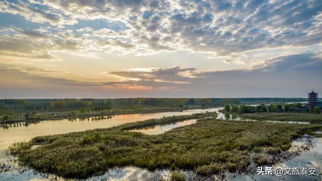 静湖、暖阳、慢时光！入冬后的东平湖已经美成人间的童话啦~