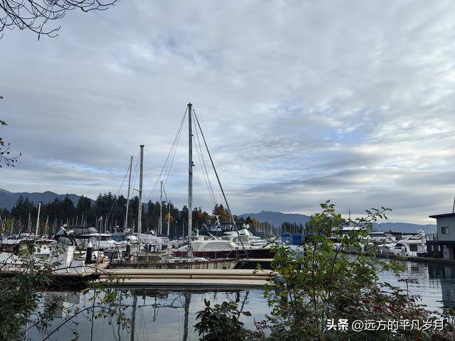 温哥华游记（一）