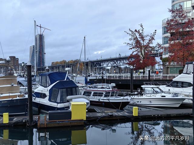 温哥华游记（六）