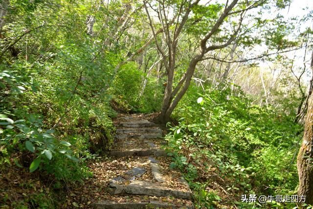 河北百草畔（中）：览尽三山舒望眼，行穿百草浣尘襟