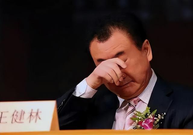顶不住了？70岁王健林再迎噩耗，网友：王思聪担心的事还是发生了