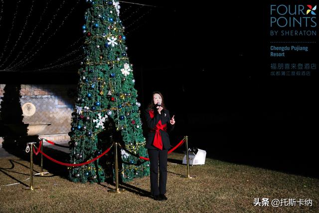 “爪爪心愿·暖冬童话夜”圣诞亮灯温情启幕萌宠与爱共绘冬日美好