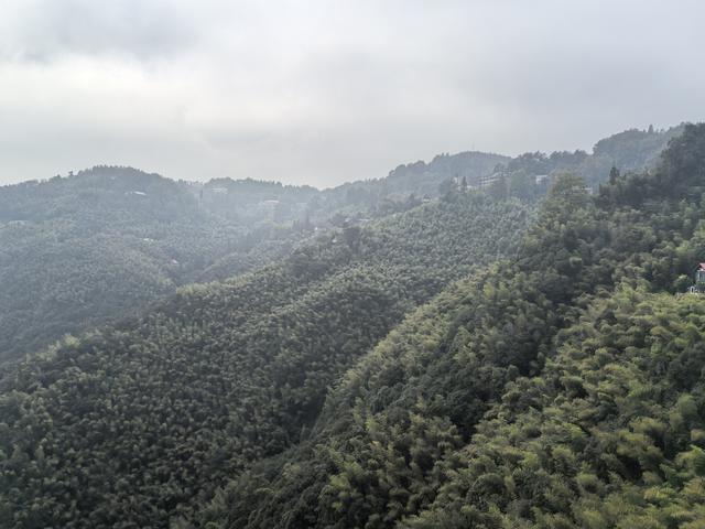 浙江湖州市德清县莫干山国家级风景名胜区游记（上）