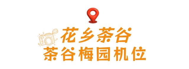 🤩收藏！春节拍大片，就来黄陂『下集』