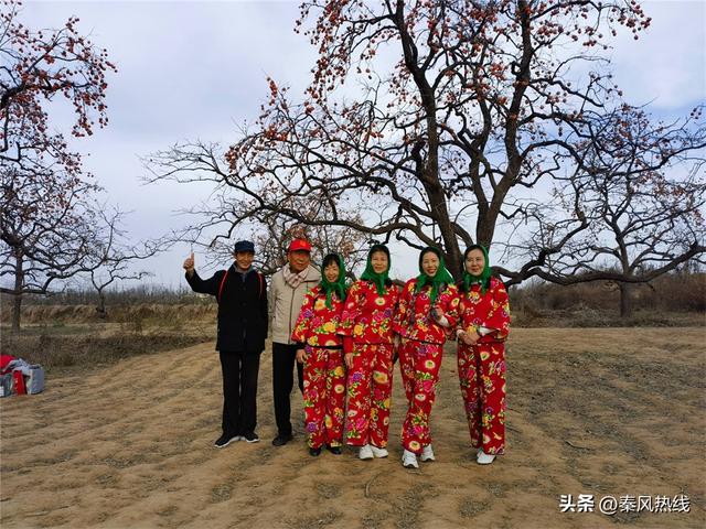 彬州市：多举措提升罗店村柿林观赏地游客满意度