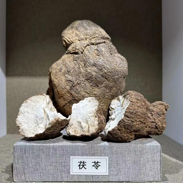 走，去中医药博物馆看玛瑙（说笑了~）