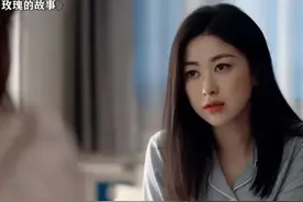 《玫瑰的故事》：解锁女精英魅力密码，探“皇阿玛”爱而不得真相图片