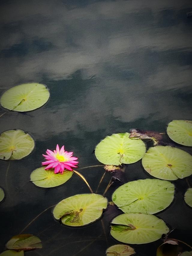 南行漫记：离开南充走G318到达遂宁，驻车圣莲岛营地