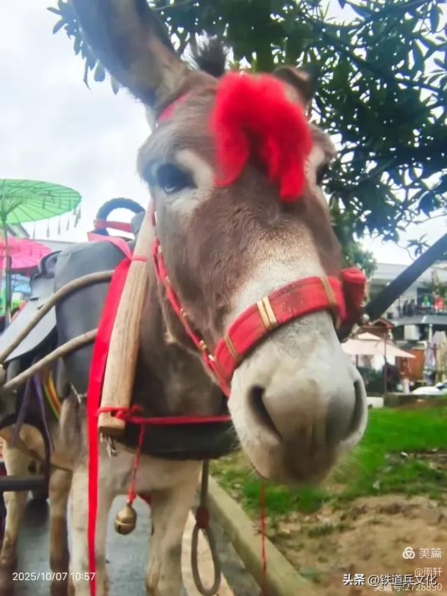 李金星||极端的天气邂逅高冠瀑布极端的美