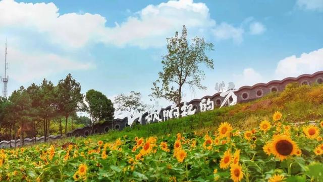 不敢想象周一的午后，走在沱江旁吹风有多舒服~