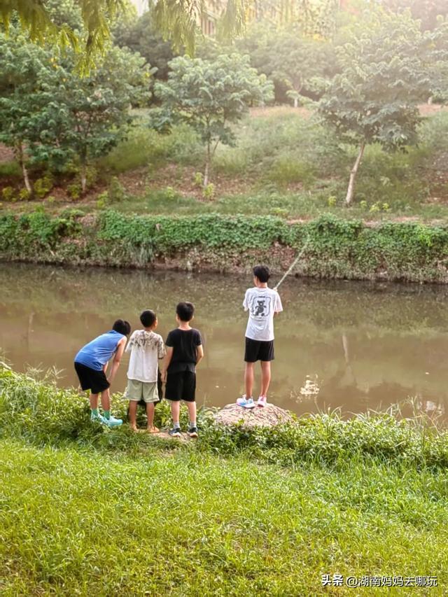长沙南城遛娃，就爱这条免费清凉路线！