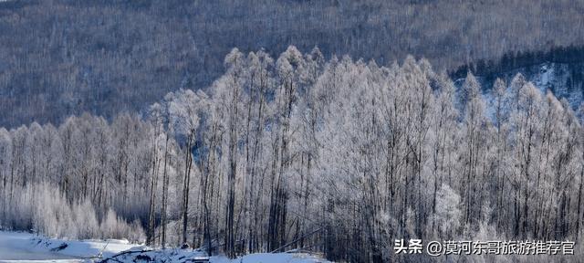 🔥漠河3天2晚封神攻略！打卡中国最北，泼水成冰+驯鹿互动！