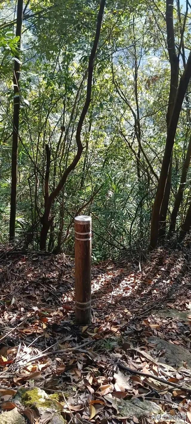 环浙步道上的小众穿越秘境,这条充满挑战的徒步环线你可去过?