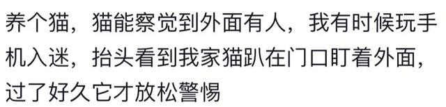 哪些是独居以后才知道的事？实用记住了！网友：停电了看一下WiFi
