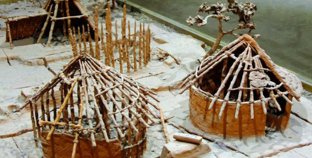聚焦河南八里岗遗址，解码 58 例古人基因组，揪出 5000 年前文明线索