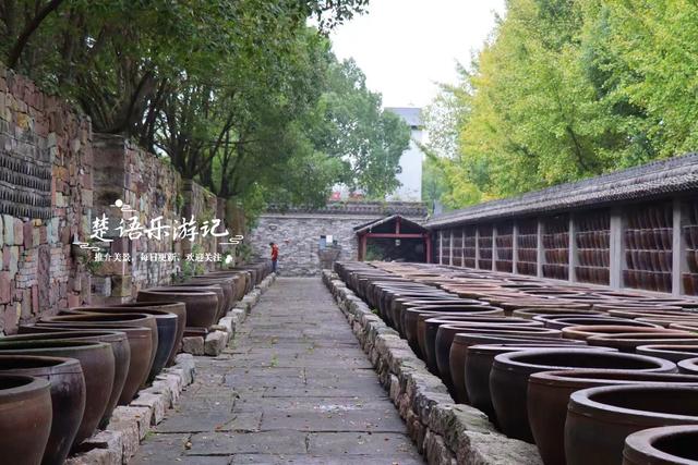 宁波这里的银杏已经变黄了，青砖黛瓦与之映衬，烟雨之中更有诗意