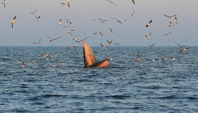 地理冷知识—春节自驾游路线