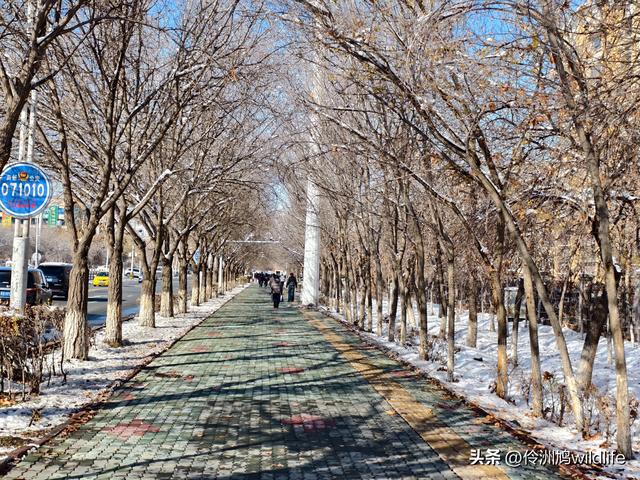新疆乌鲁木齐红光山大佛寺