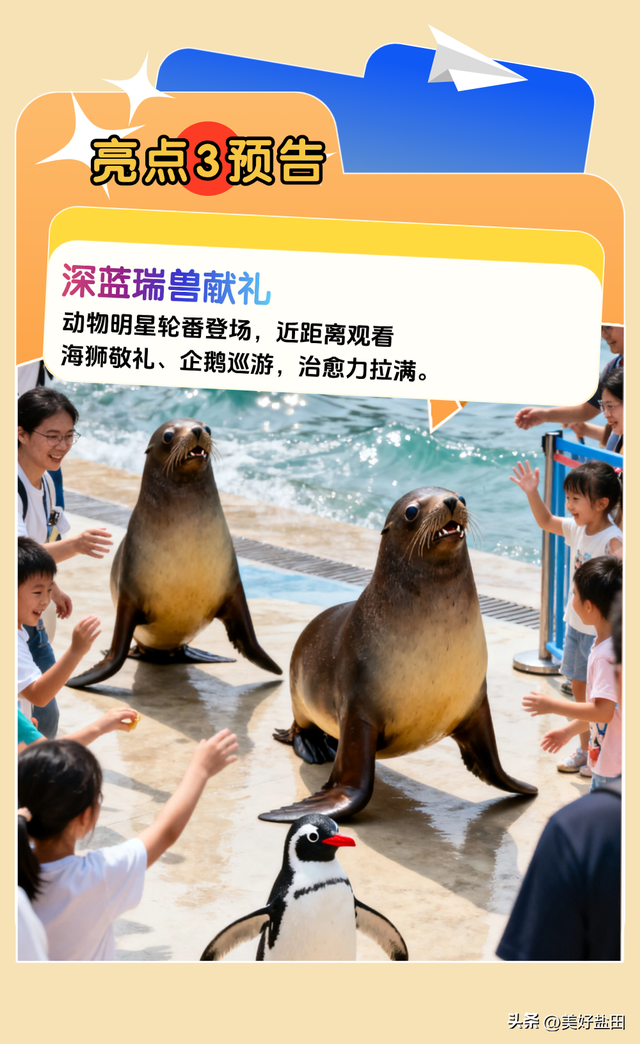梅沙国庆终极攻略！这些福利正在刷屏→