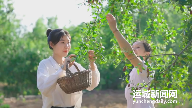 9月，相约运城！超全游玩攻略奉上