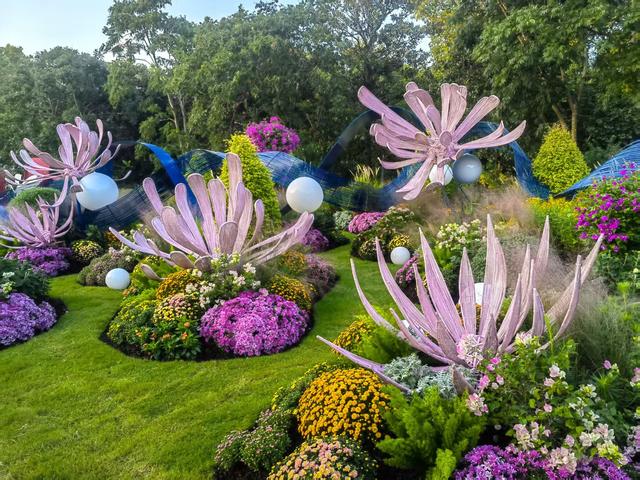 11月30日:2025年上海菊花展华丽登场