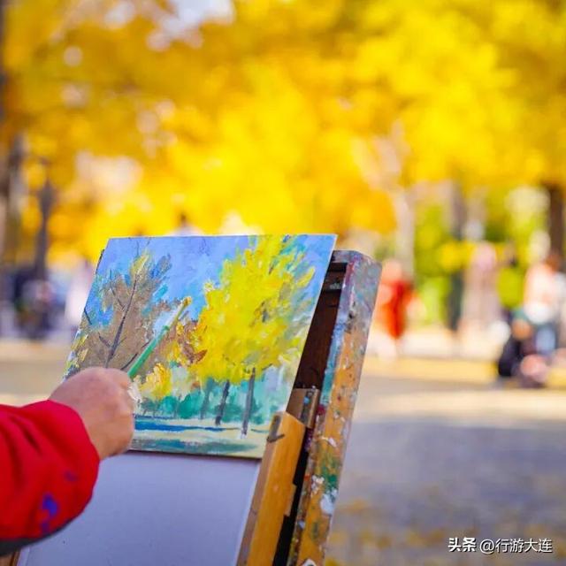 抓住这场金色盛宴！银杏“出片季”正式开启！