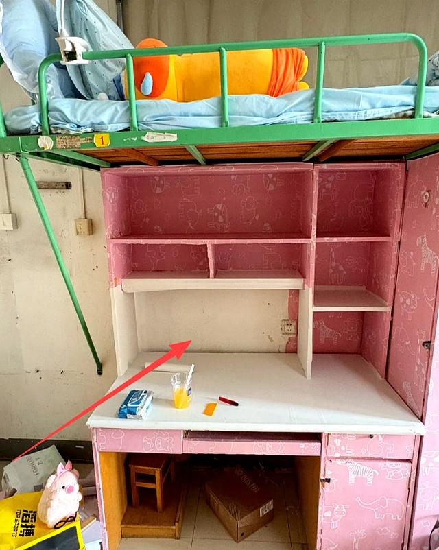 “你拍拍屁股走了，我咋办？”新生刚到宿舍就崩溃了：学姐我恨你