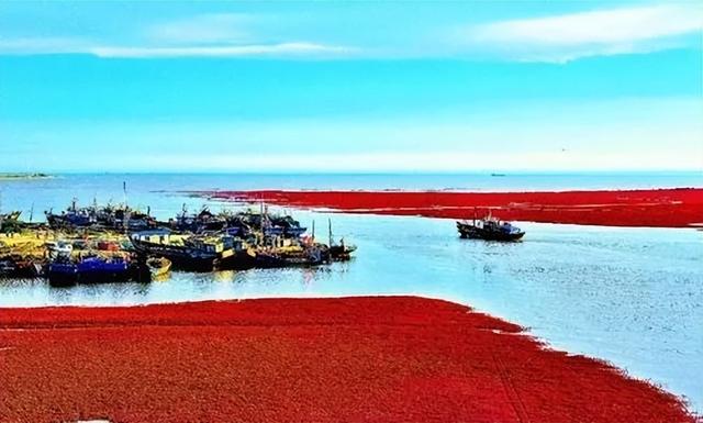 盘锦9月中下旬生态文化之旅全攻略：红海滩湿地与历史的完美邂逅