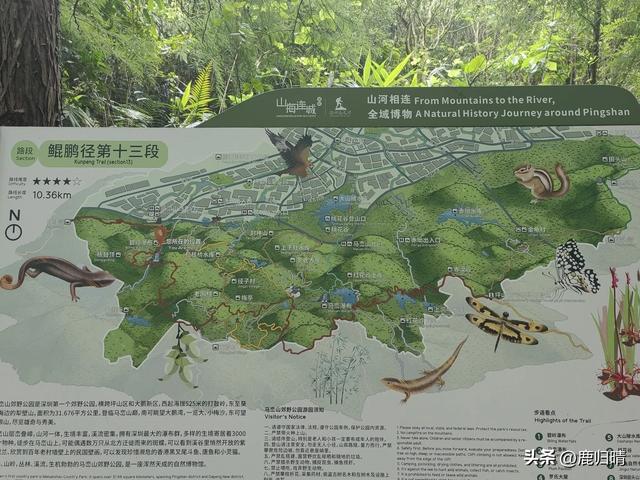 深圳马峦山看瀑布攻略（夏天避暑必去榜）
