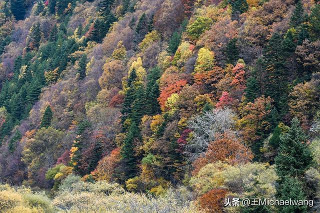 古意秋风三万里（D32）-从纳洛村到卓克基