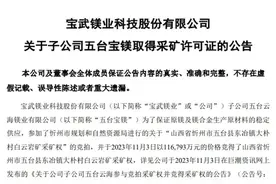 宝武镁业狂砸11亿拿下近6亿吨白云岩矿！镁业巨头开启垄断模式？图片