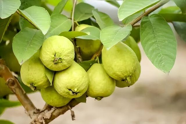 太全面了！8条游玩线路+京郊汤泉！带您玩转北京这里！（1）