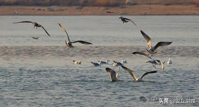 收藏贴！带您玩转潍坊的湖光水色