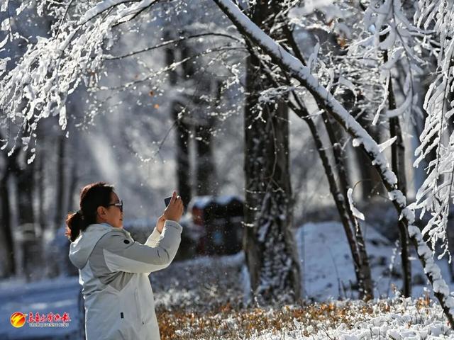 听我的，雪后的乌鲁木齐，真的能治愈一切！