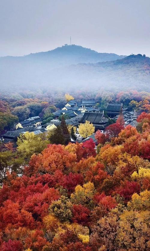南京栖霞山看红叶，游览全攻略（2025最新版）
