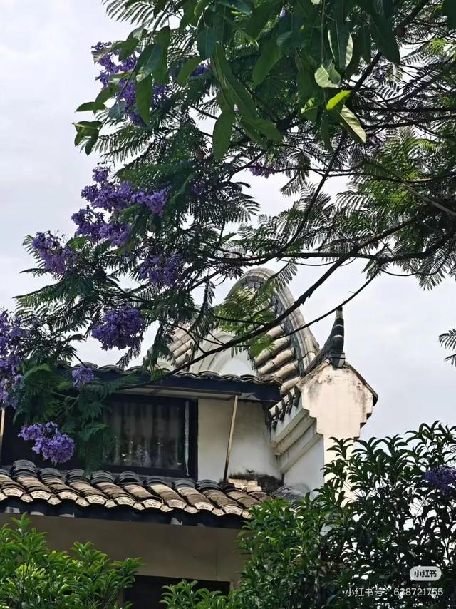 当天来回！新挖成都1H冷门徒步线，古道遛娃秘境吸氧！7元炫爽地道美食！