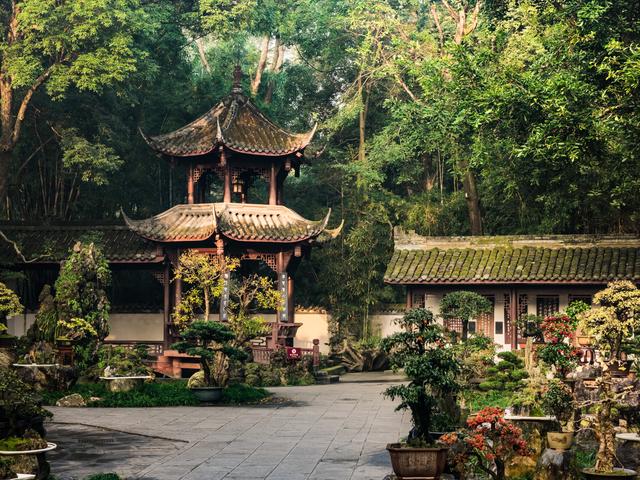 成都杜甫草堂博物馆建馆七十年 | 共赴一场关于诗与守护的岁月大展