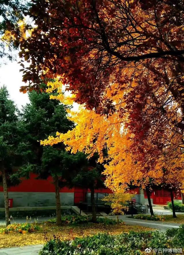 博物馆秋之旅丨博物馆限定！这些古建里的绝美秋色不可错过——
