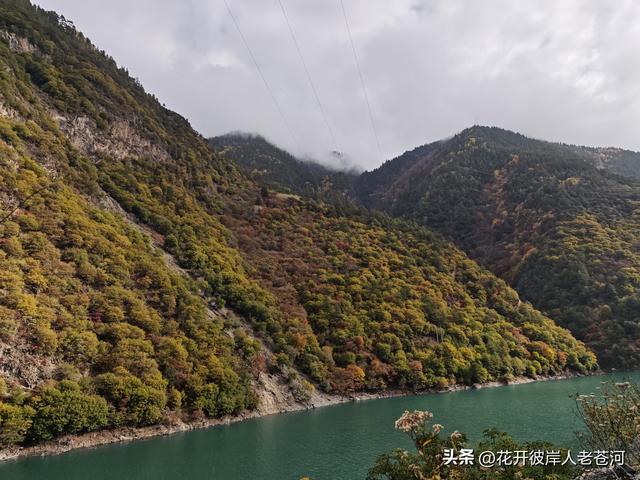 米亚罗彩林季，观赏一日游！