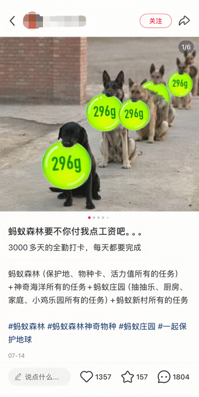 看见直播间里种树，年轻人就走不动道了