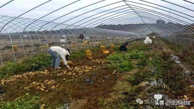 在定西，每一处景观都在诉说着成长