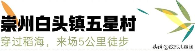 夏天一定要看一次稻田！这4处可看，还能喝下午茶逛博物馆
