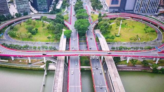 惊艳！南山60公里“空中花廊”来了~